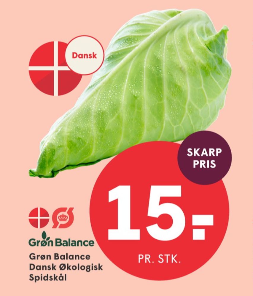 Grøn Balance, Spidskål