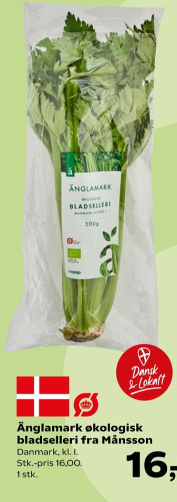 Änglamark Månsson, Bladselleri