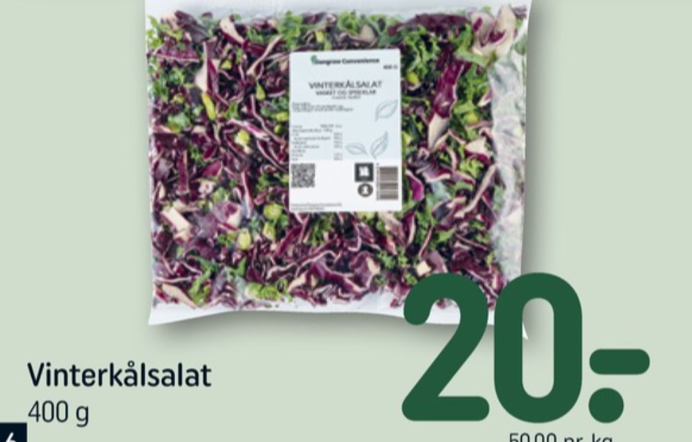 Yding Grønt, Vinterkålssalat