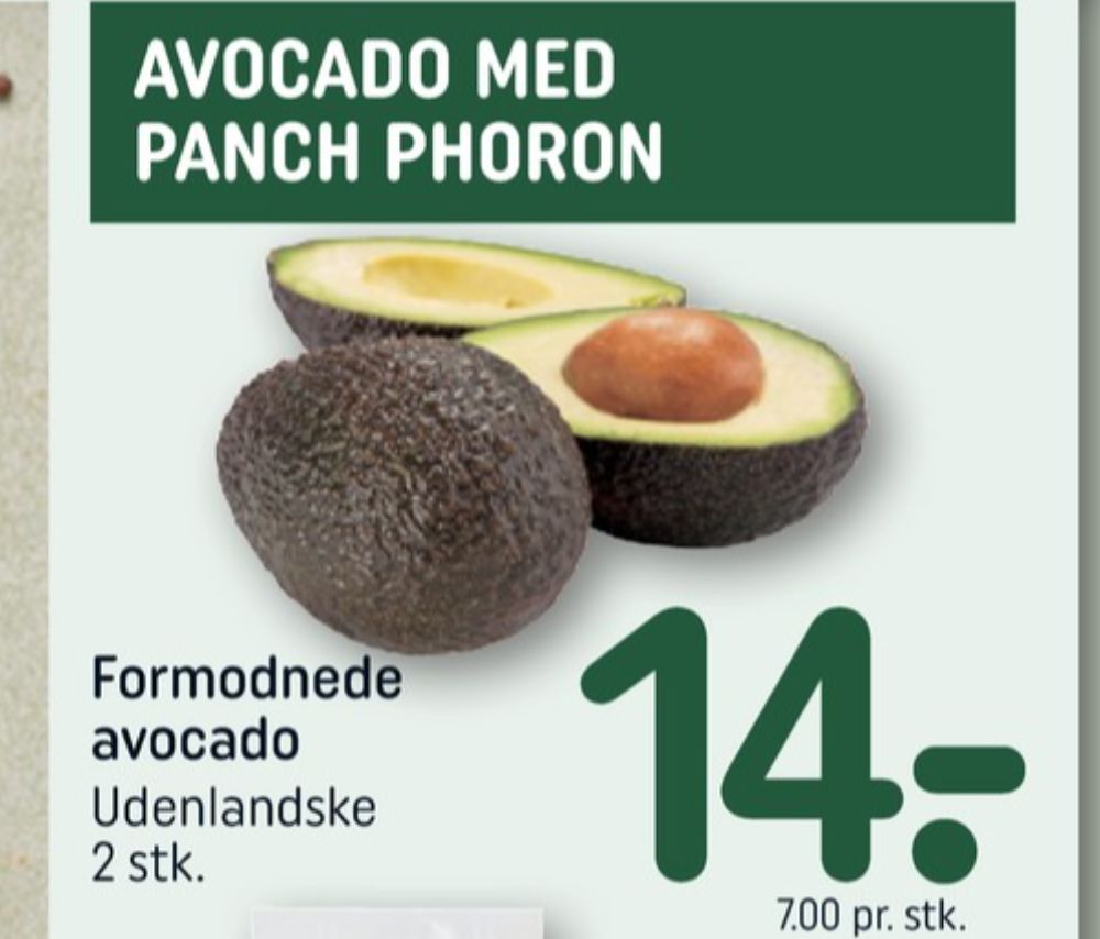 Avocado