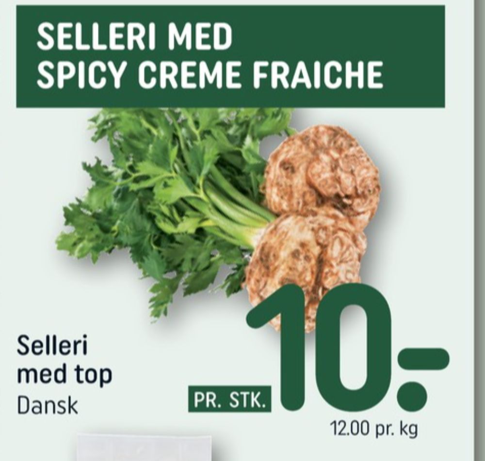 Knoldselleri