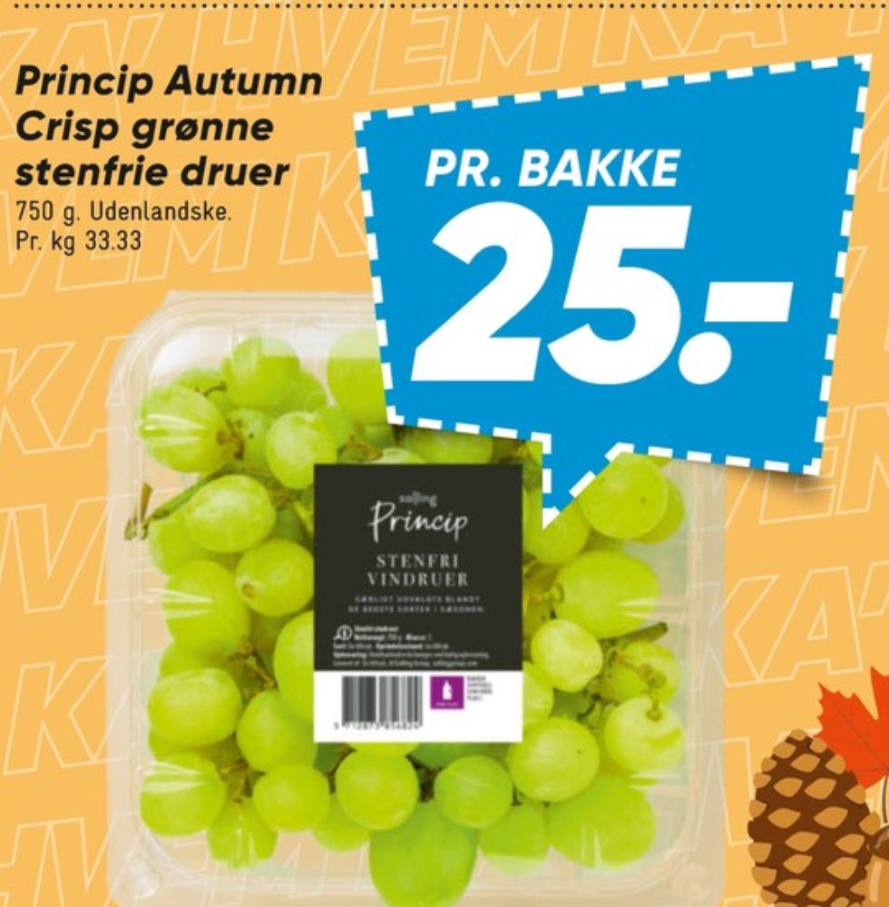 Salling Princip, Vindruer