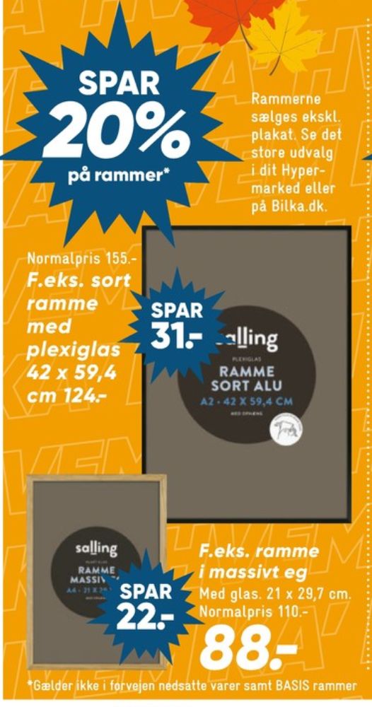 Salling, Billedramme