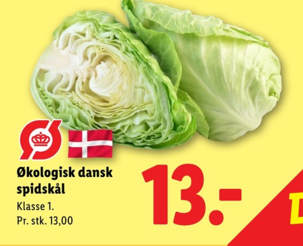 Spidskål