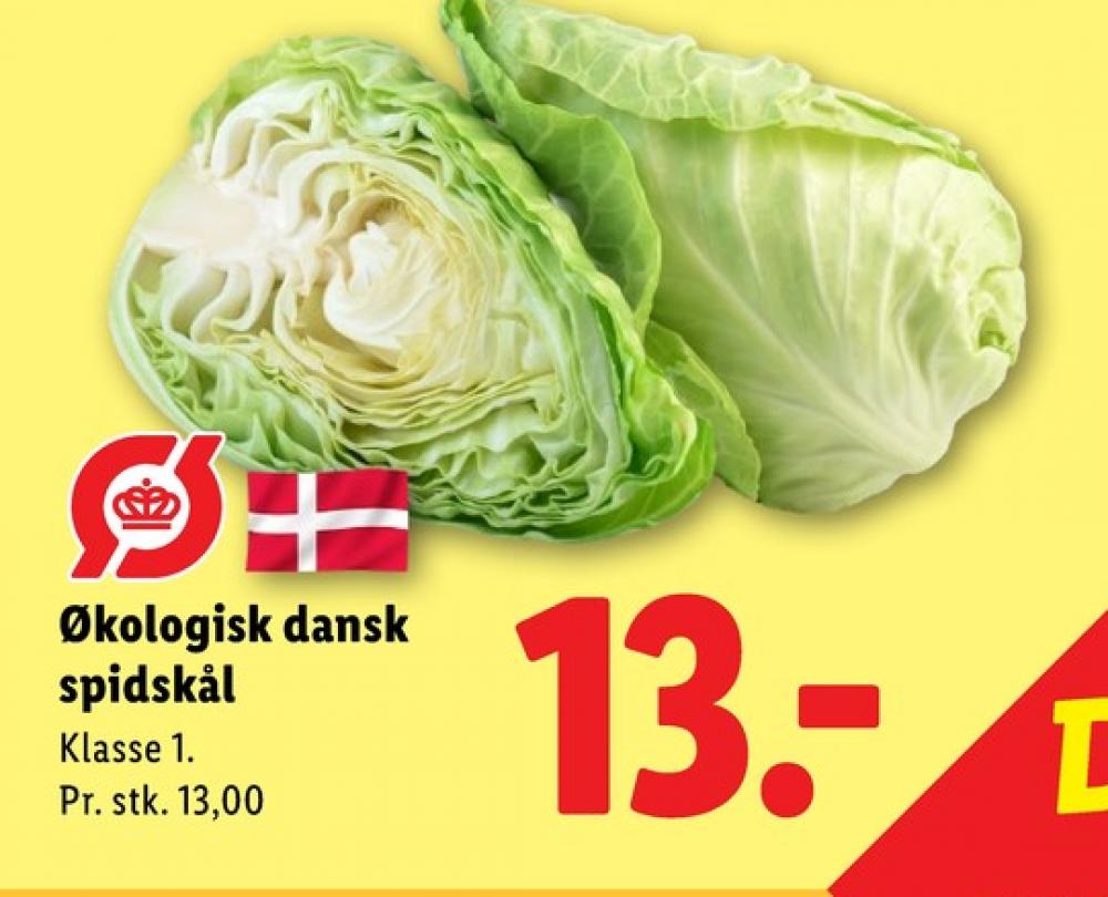 Spidskål