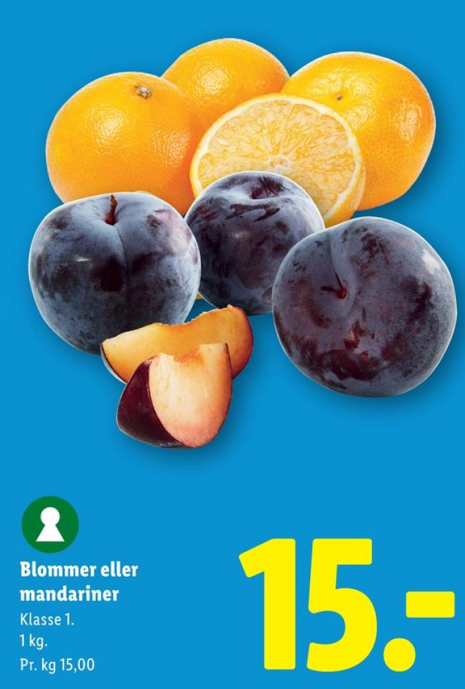 Mandariner
