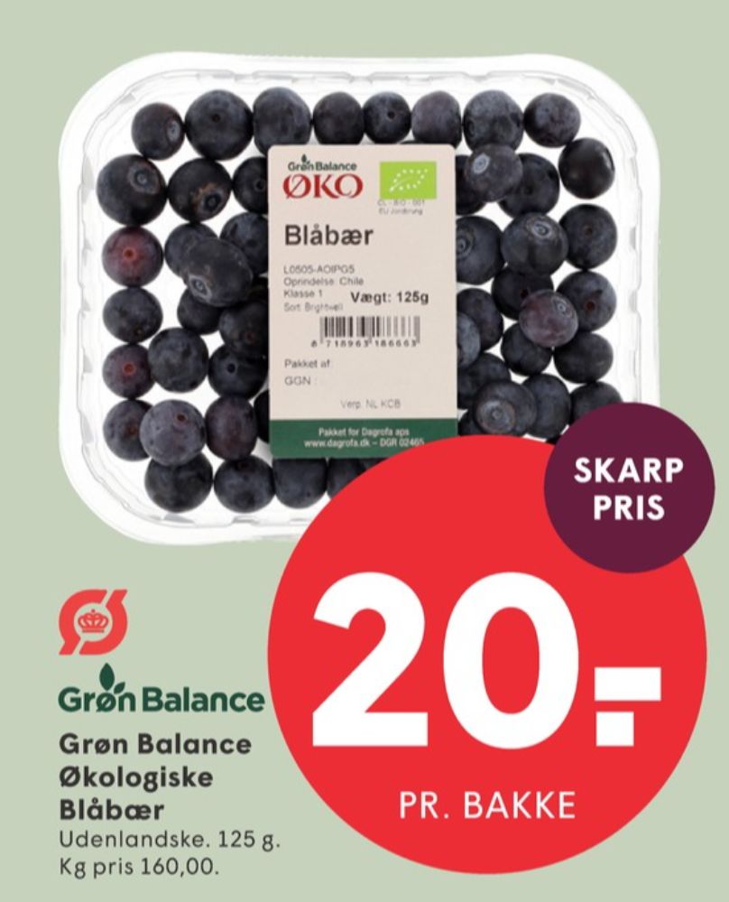 Grøn Balance, Blåbær