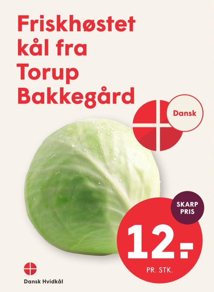 Hvidkål
