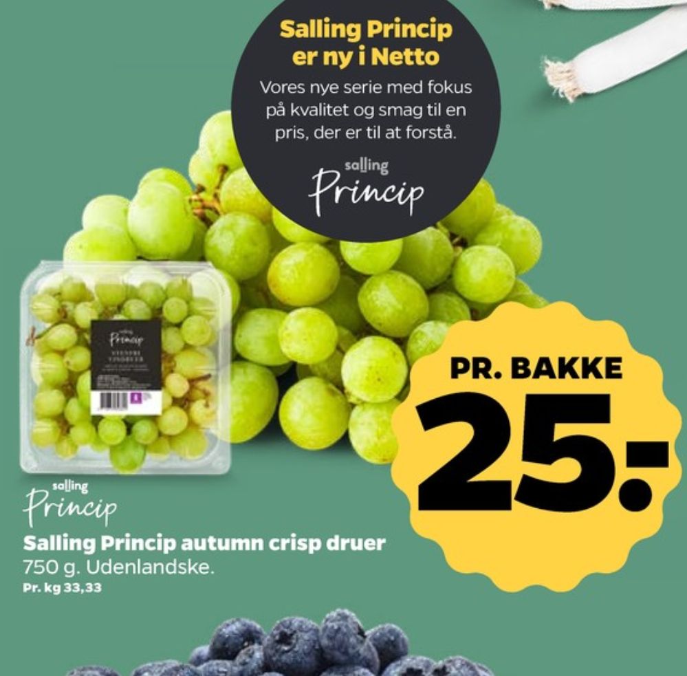 Salling Princip, Vindruer