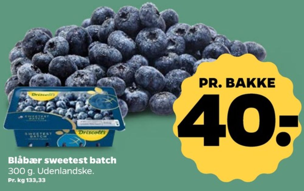 Driscolls, Blåbær