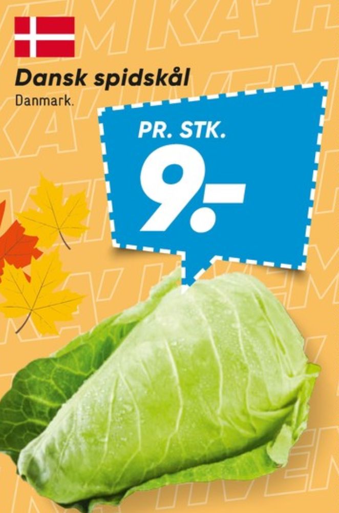 Spidskål