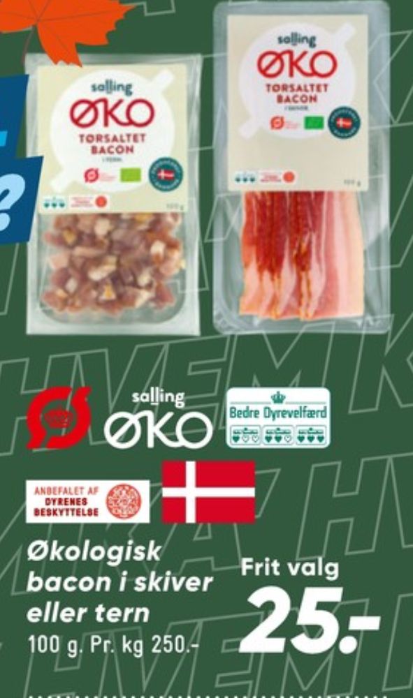 Salling ØKO, Bacontern