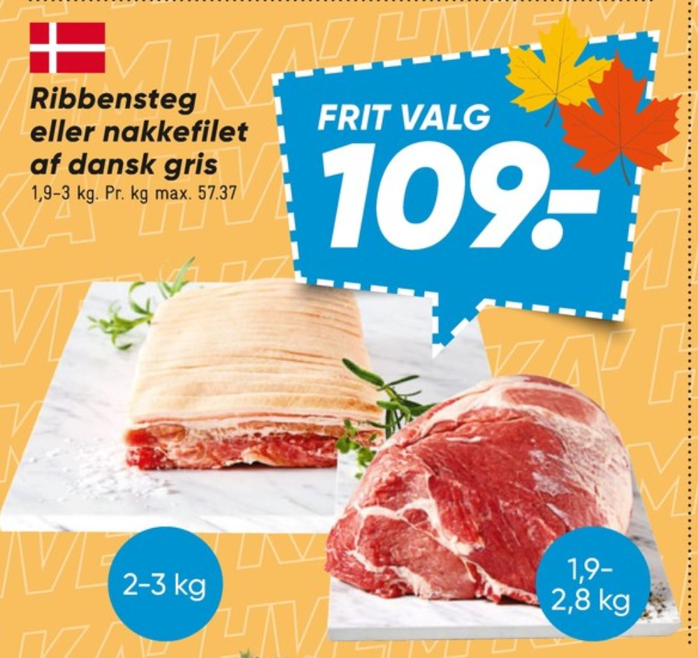 Ribbensteg