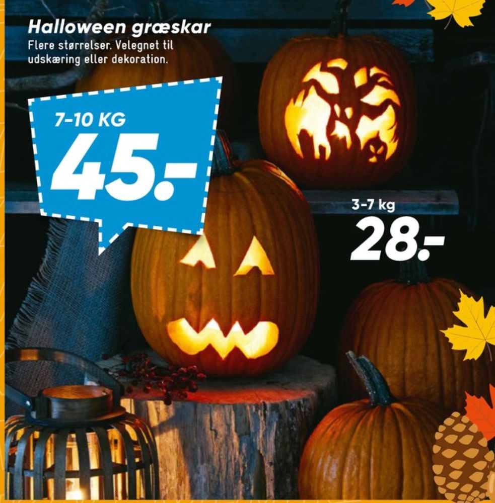 Græskar