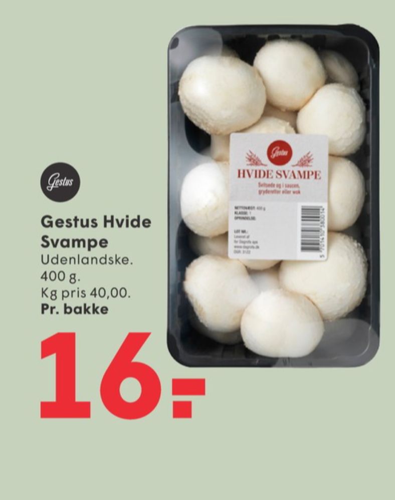 Gestus, Svampe