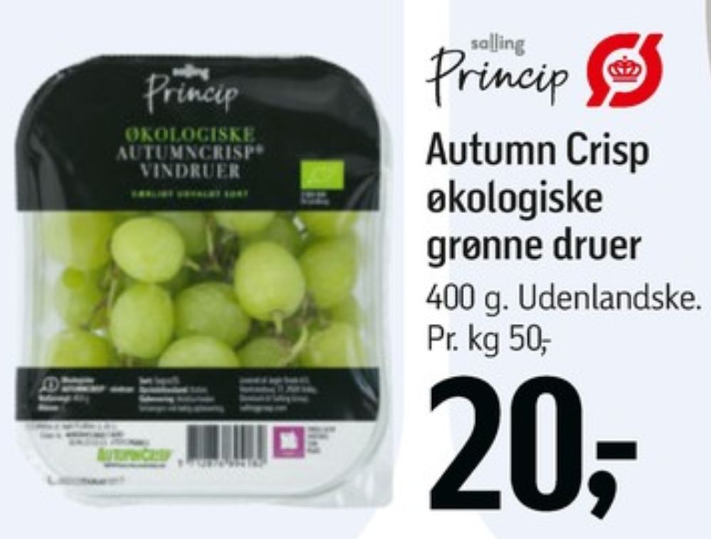 Salling Princip, Vindruer