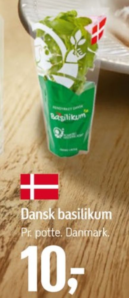 Basilikum