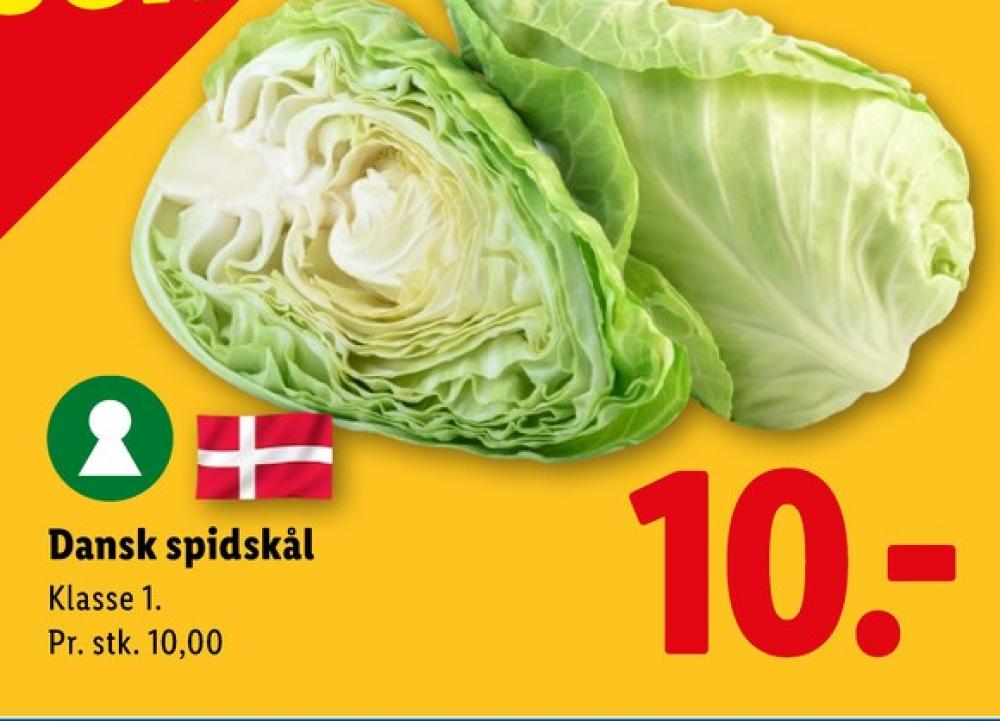 Spidskål