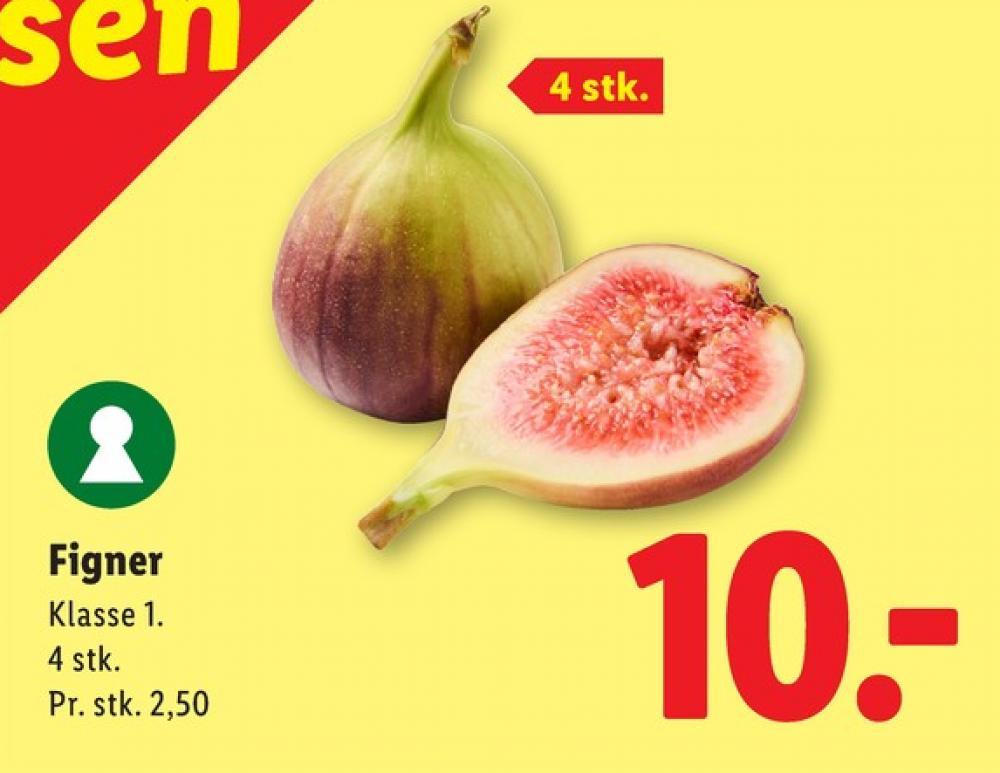 Figner