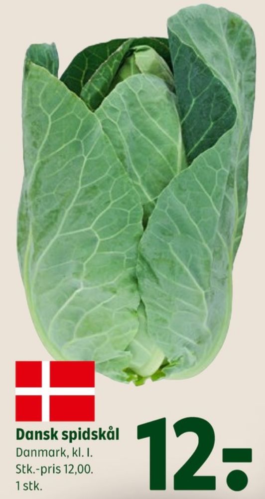 Spidskål