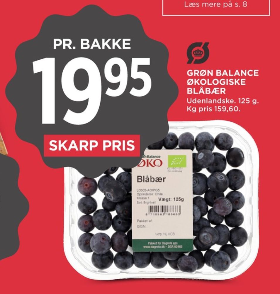 Grøn Balance, Blåbær
