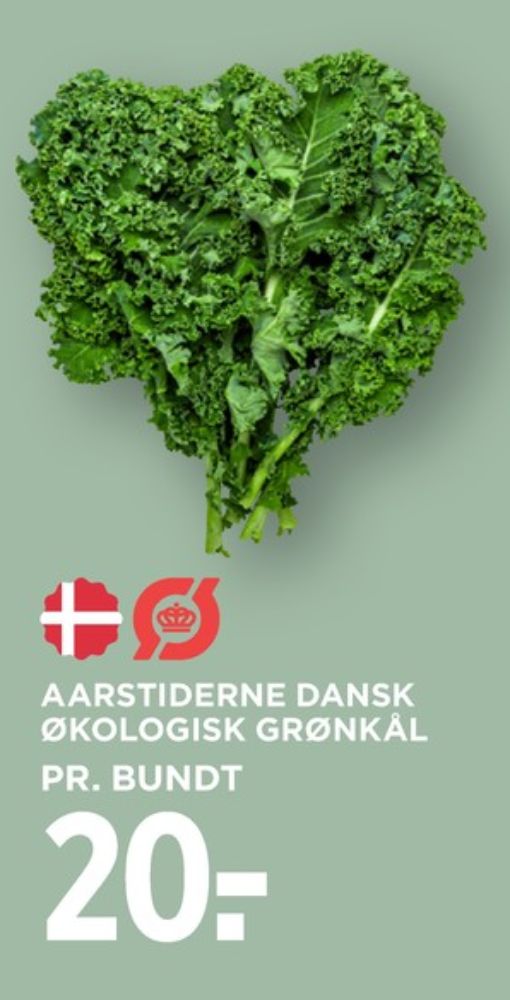 Aarstiderne, Grønkål