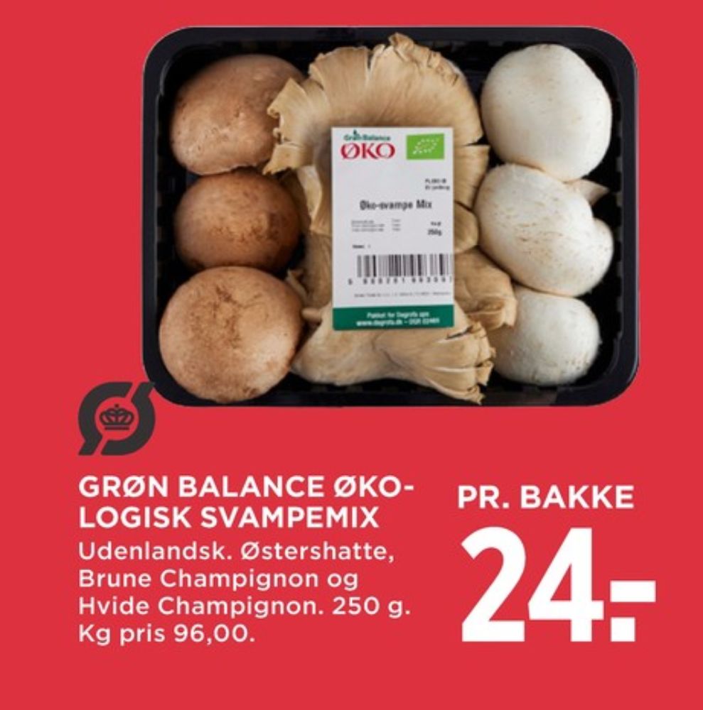 Grøn Balance, Svampe