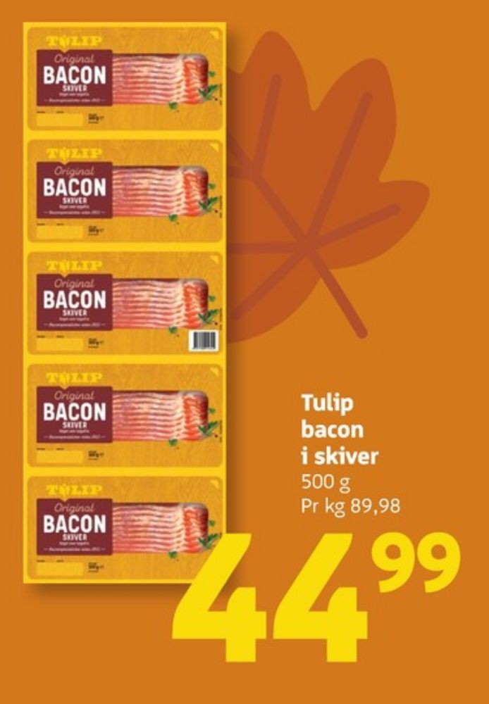 Tulip, Baconskiver