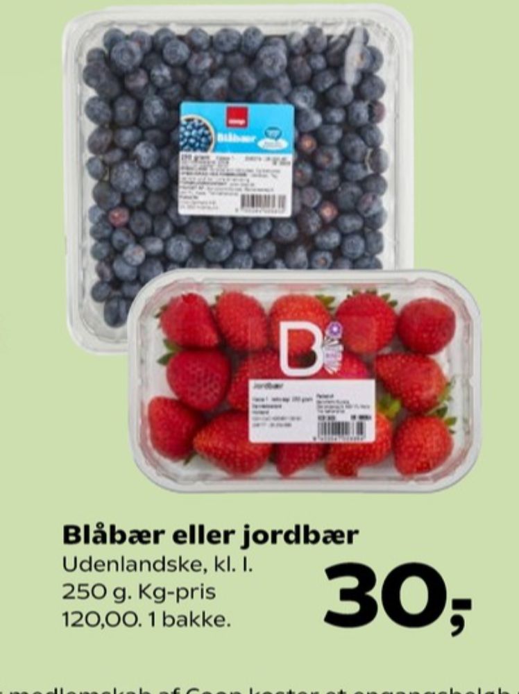Jordbær