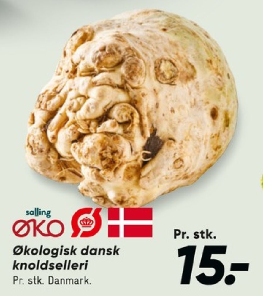 Salling ØKO, Knoldselleri