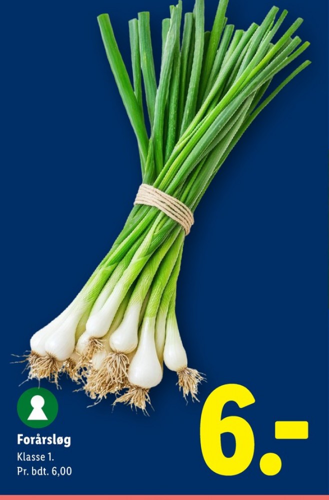 Forårsløg