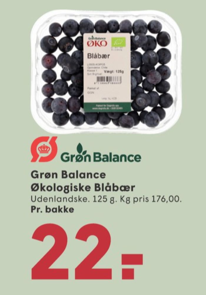 Grøn Balance, Blåbær