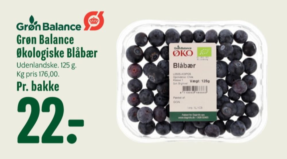 Grøn Balance, Blåbær