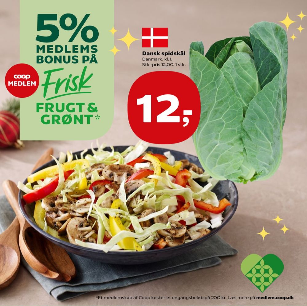 Spidskål