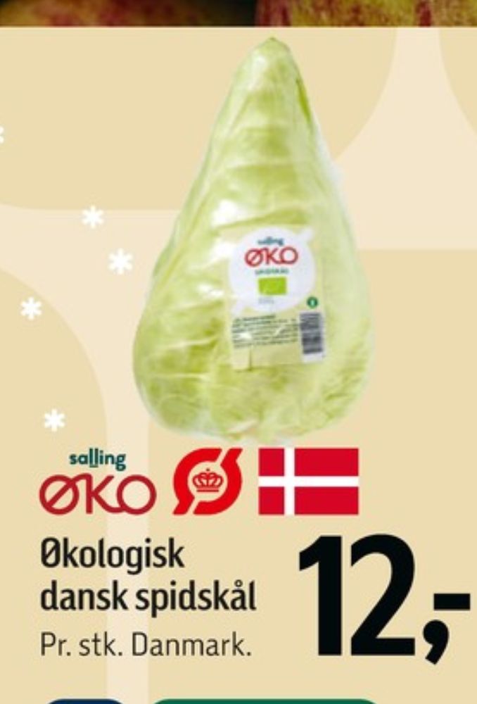 Salling ØKO, Spidskål