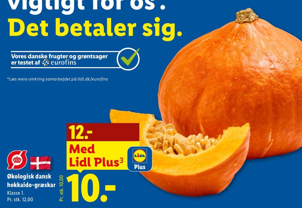 Hokkaidogræskar