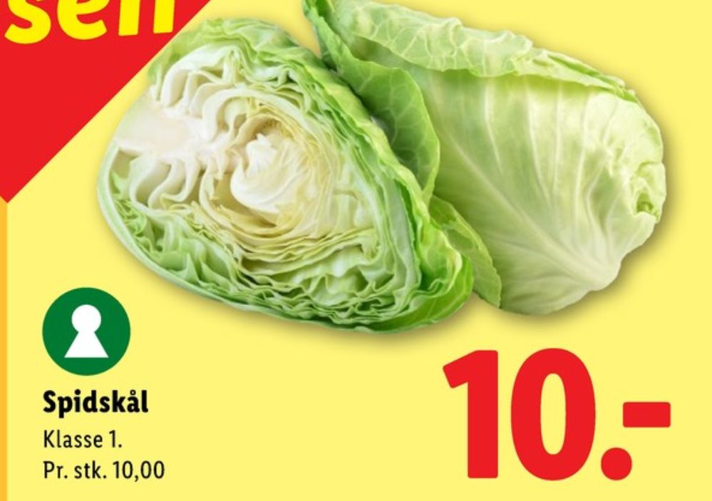 Spidskål