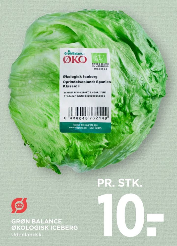 Grøn Balance, Icebergsalat