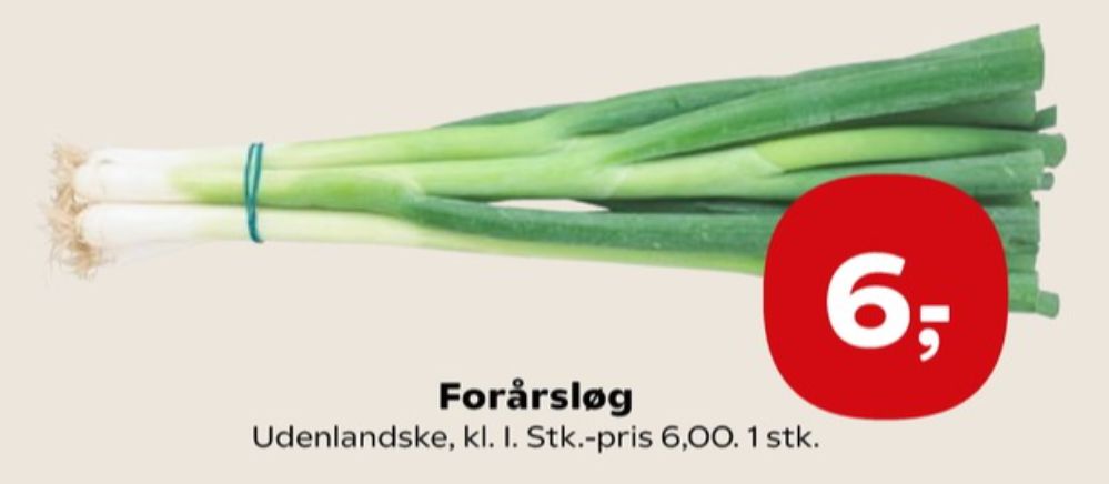 Forårsløg