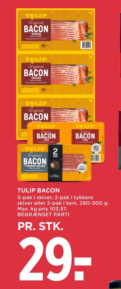 Tulip, Bacontern