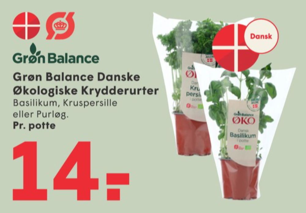 Grøn Balance, Persille