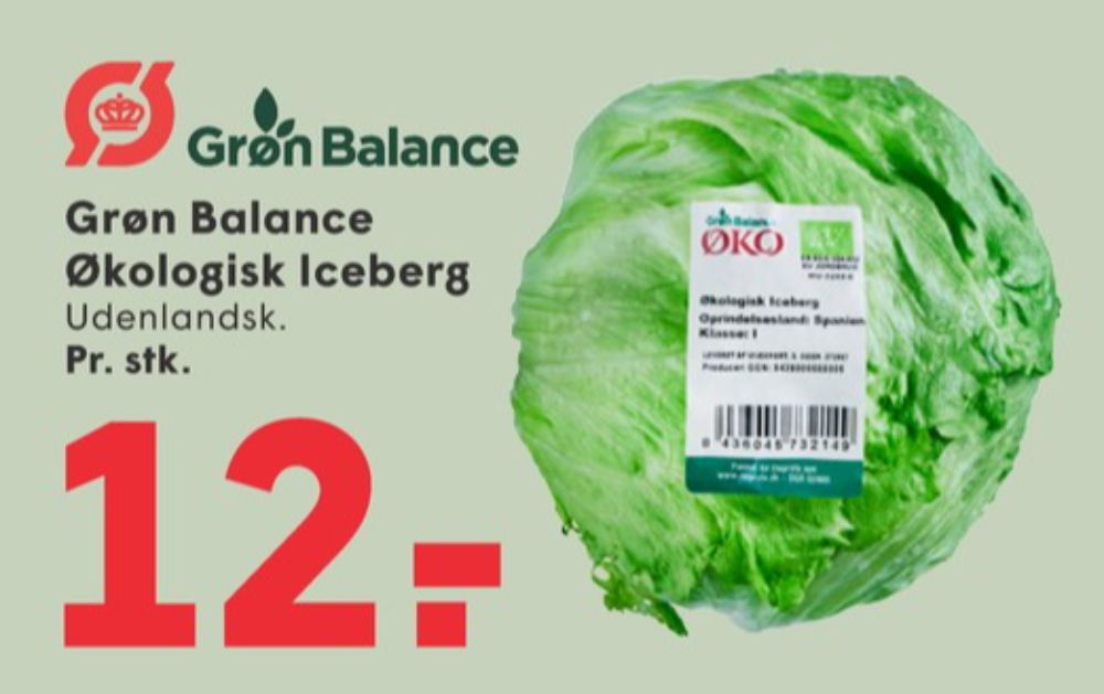 Grøn Balance, Icebergsalat