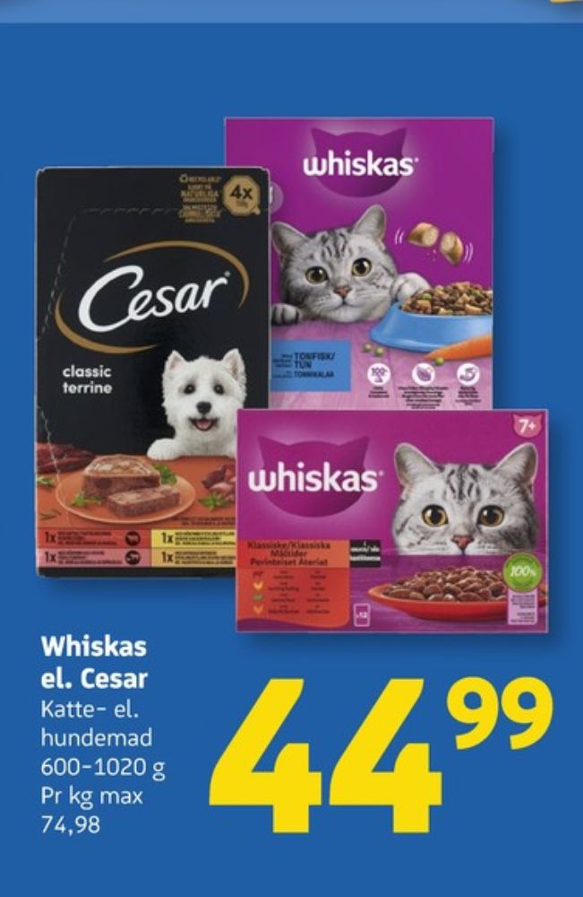 Cesar, Hundefoder