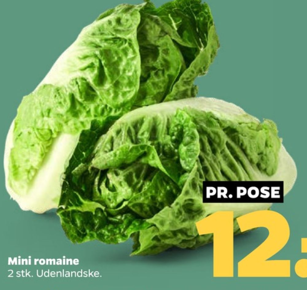 Romainesalat