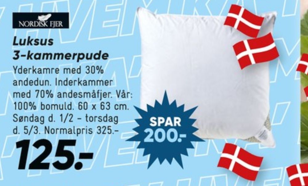 Nordisk Fjer, Hovedpude