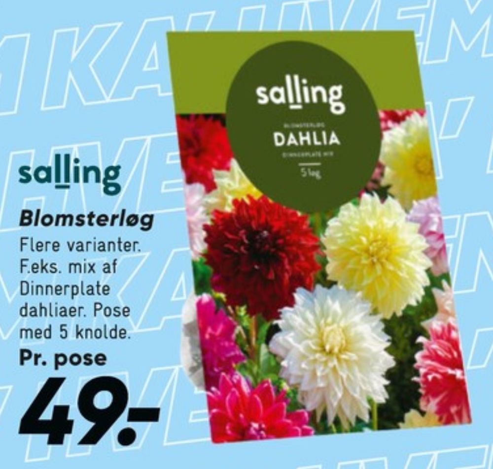 Salling, Blomsterløg
