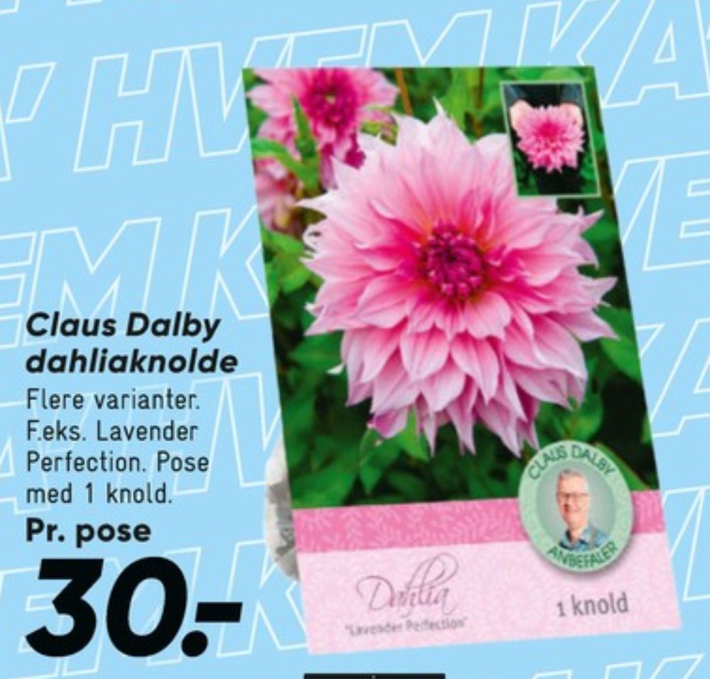 Claus Dalby, Blomsterløg