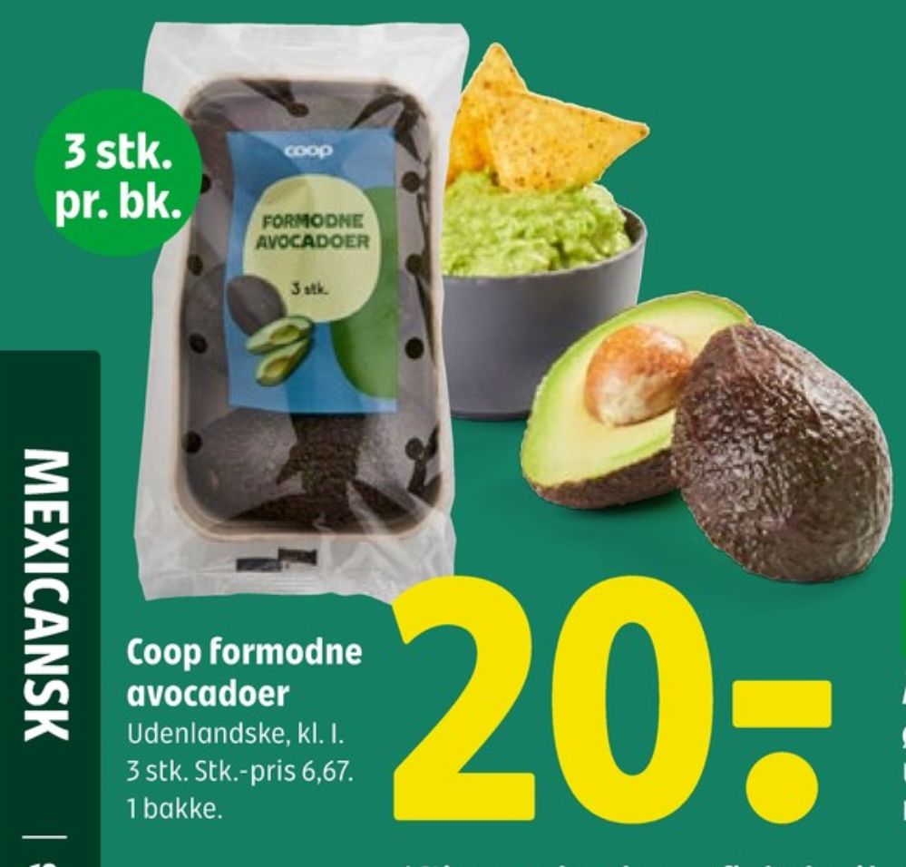 Coop, Avocado
